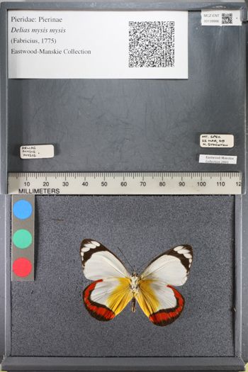 Media type: image;   Entomology 139996
